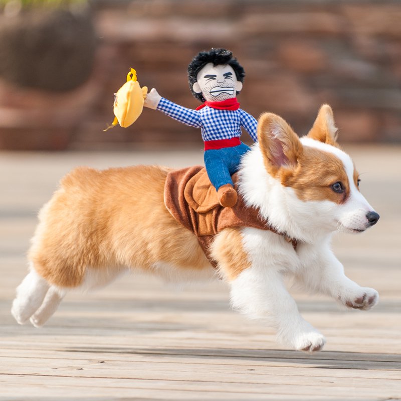 Puppy Cowboy Outfit
